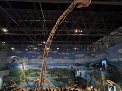 -自贡恐龙博物馆