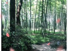 -同里国家湿地公园
