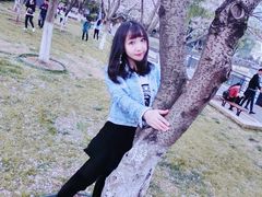 -西北湖绿化广场
