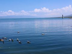 -青海湖国家重点风景名胜区