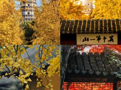 -西园戒幢律寺