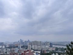-福道