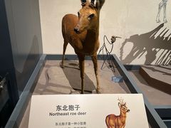 -大庆市博物馆