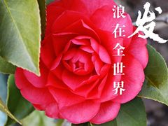 -河滨大楼