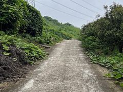 -杭州屏风山越野车营地·团建别墅轰趴民宿