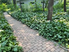 -黑龙江省森林植物园