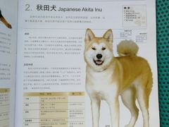 -康乐宝动物医院