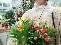 -龙大花卉苗木市场