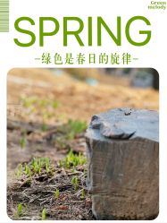 点击看大图 -宝馨月月子中心(友谊医院店)
