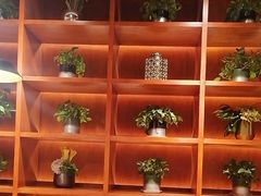 -古觉面片(科技路天朗蓝湖树店)
