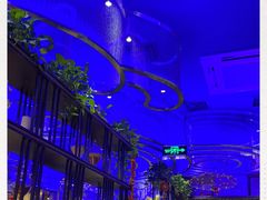 -老板恋上鱼(恒隆广场店)