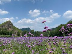 -百里山水画廊