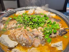 鲜青椒爽麻烤鱼-探鱼·鲜青椒爽麻烤鱼(增城东汇城店)