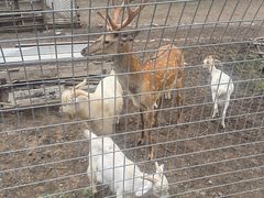 -北京山里寒舍度假酒店