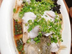 鲈鱼-粤食堂(天津和悦汇店)