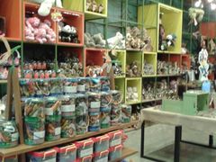 -Behring World of Animals(上海自然博物馆店)