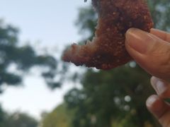 -陶记正宗德州扒鸡(科巷店)