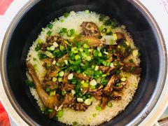-一煲鸽