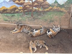 -西霞口神雕山野生动物世界