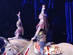 -珠海横琴长隆《卡卡虎奇遇记》