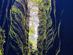 -梭布垭石林景区