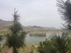 -樱花山风景区