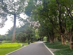-南宁南湖公园