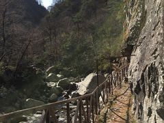 -青峰峡国家森林公园