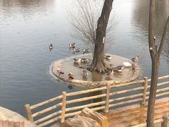 -石家庄市动物园