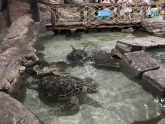 -杭州海底世界