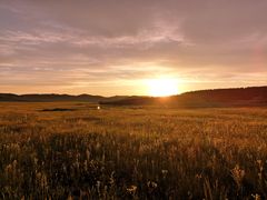 -塞罕坝国家级自然保护区