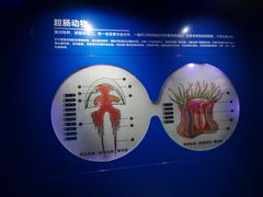 -青岛海底世界-水族馆