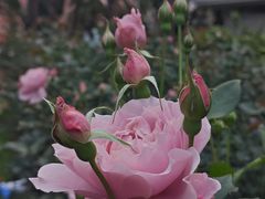 -人民公园(罗湖区)