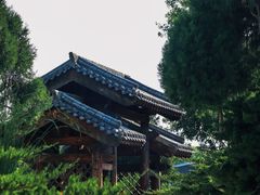 -中国唐苑
