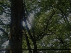 -道教老君洞