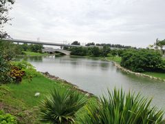 -宝安西湾红树林湿地公园