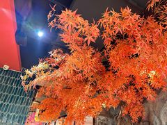 -花间别院(凤凰店)