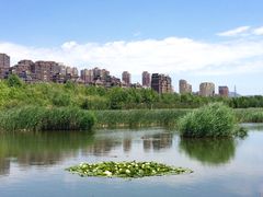 -前关湿地公园