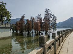 -顺峰山公园