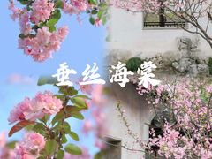 -虎丘山风景名胜区