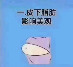 -香薇妮丝·定制减肥·身材管理