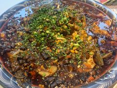 -新概念来凤鱼(璧山店)