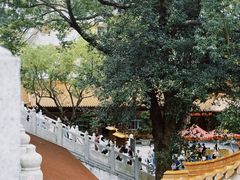 -深圳仙湖植物园
