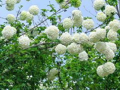 -大龙山(地铁站)