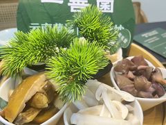 -一善菌·云南菌汤·云南菜(银泰城店)
