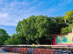 -上海海湾国家森林公园