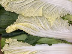 -鸿盛火锅(重庆路店)