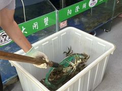-阳澄湖大闸蟹·琼灵阁牌品牌连锁(吴中总店)