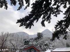 -阳台山自然风景区