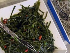 -蝎王府羊蝎子(西直门店)